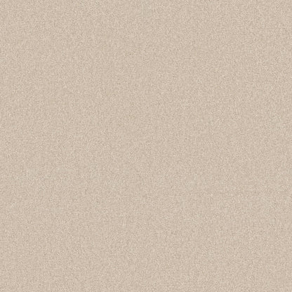 TEXTURE BCF