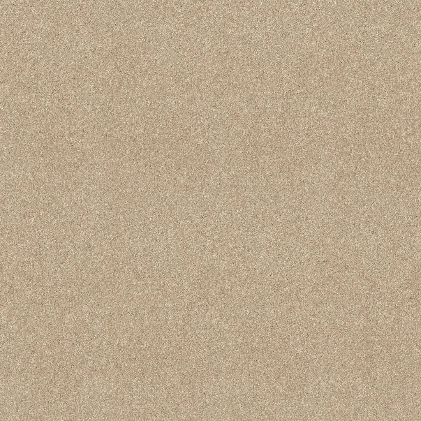 TEXTURE BCF
