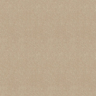 TEXTURE BCF