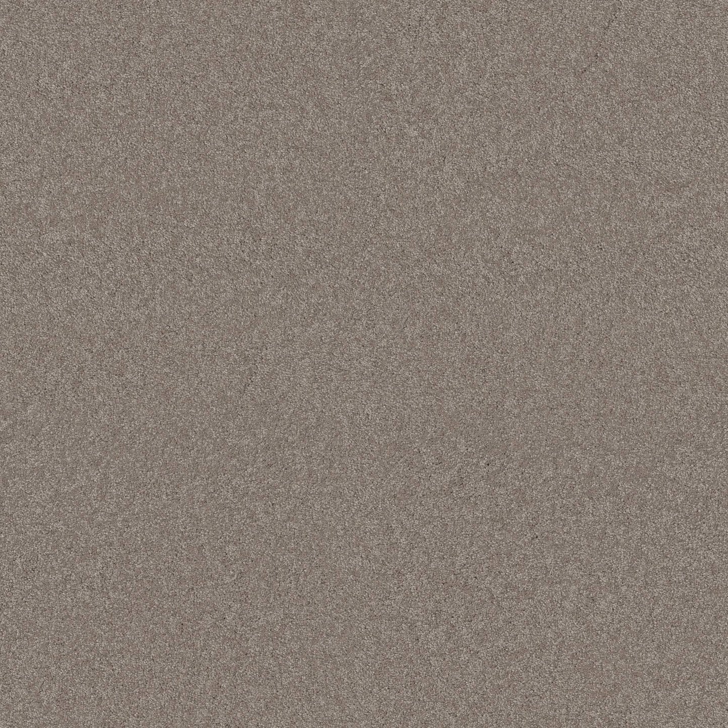 TEXTURE BCF