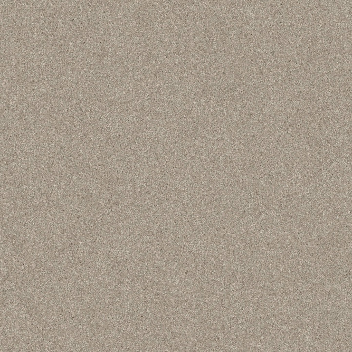 TEXTURE BCF