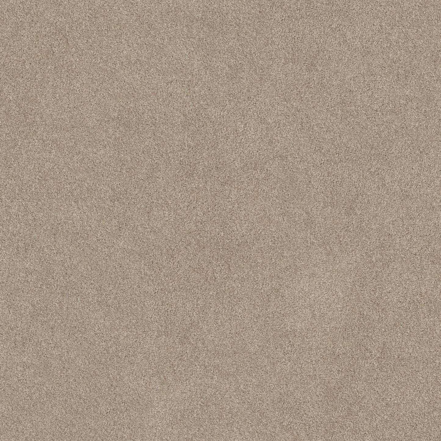 TEXTURE BCF
