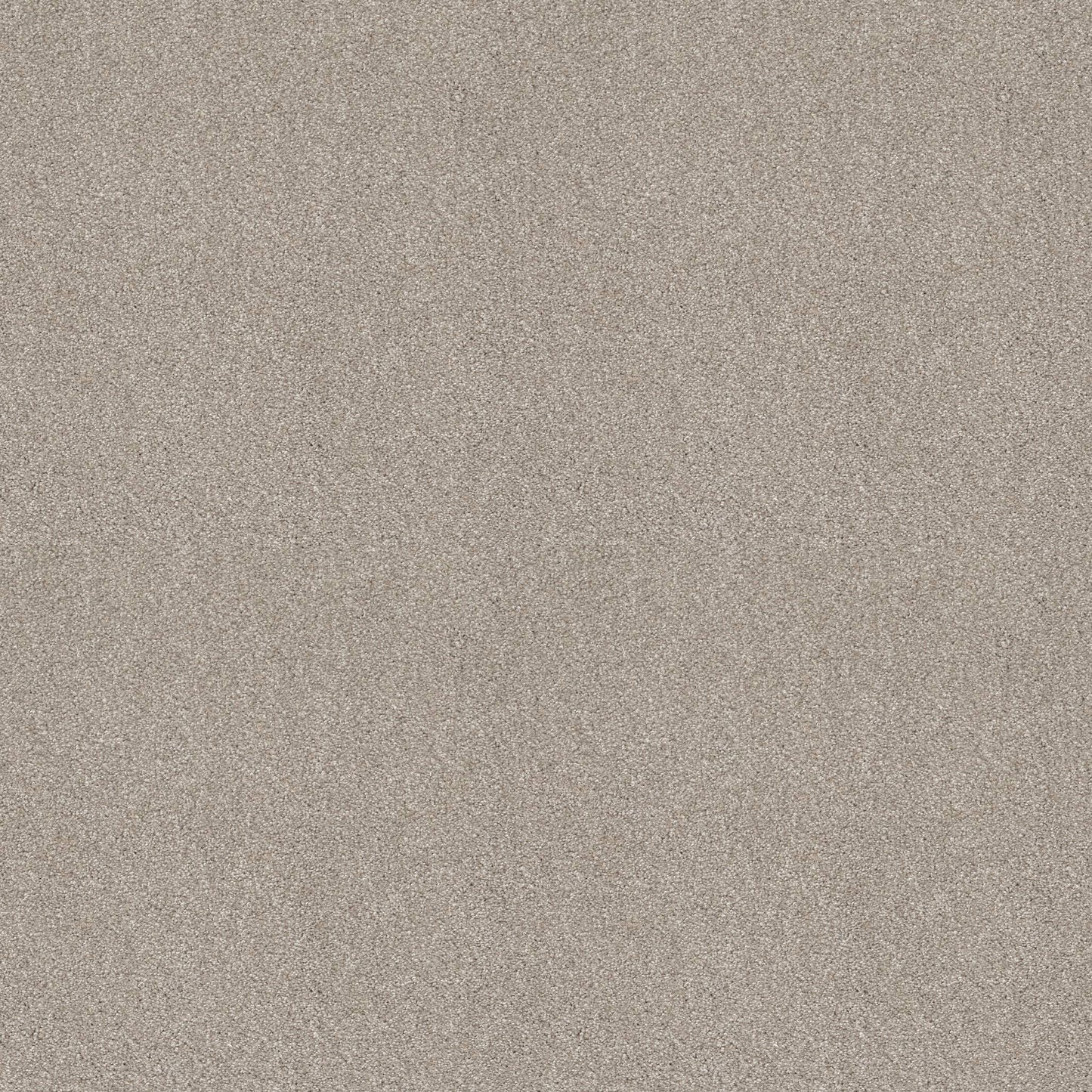 TEXTURE BCF