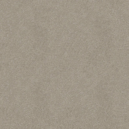 TEXTURE BCF
