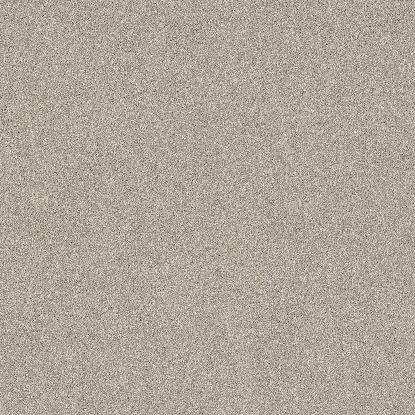 TEXTURE BCF