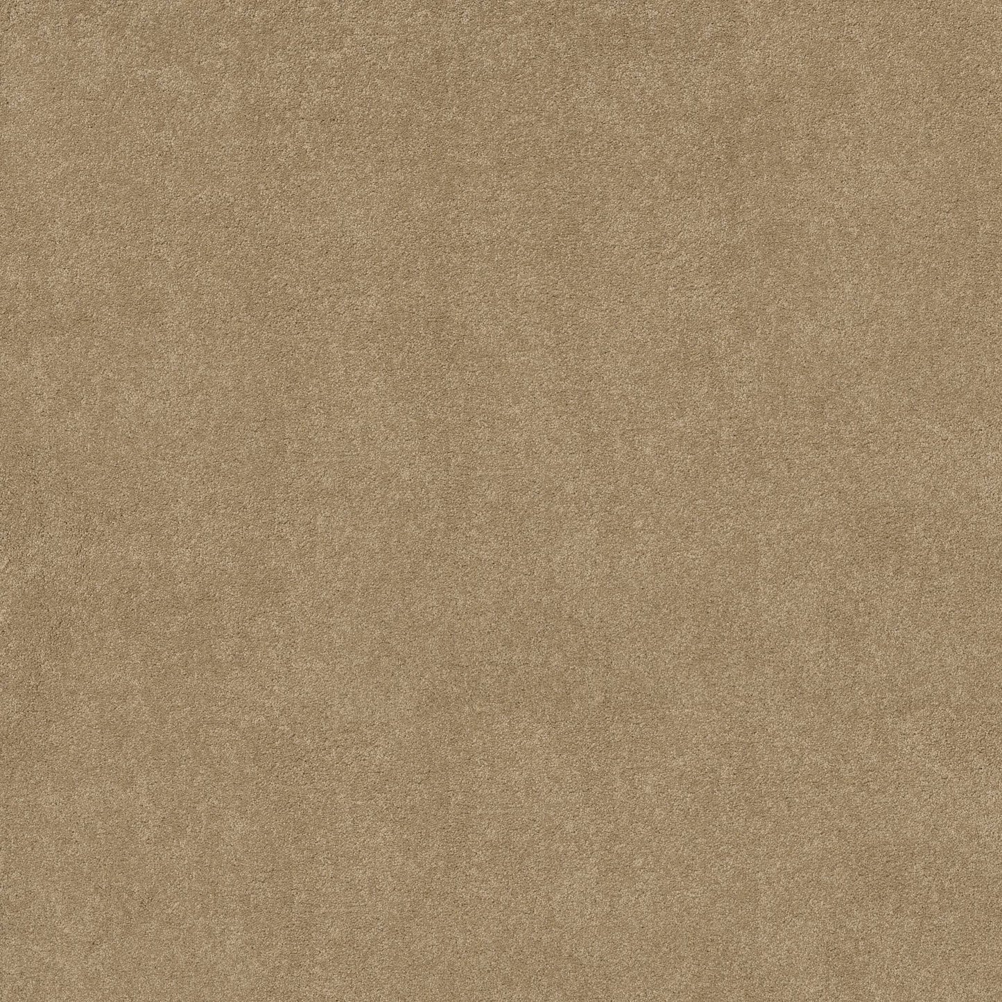 TEXTURE BCF