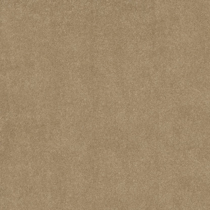 TEXTURE BCF
