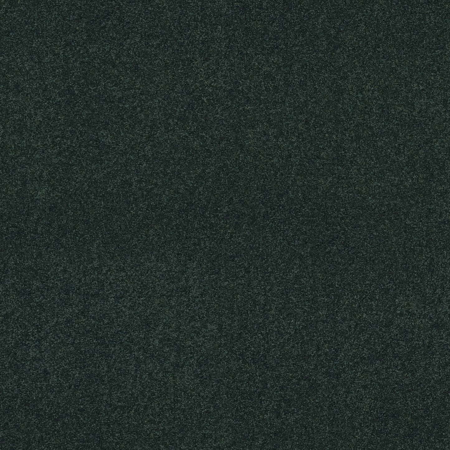 TEXTURE BCF