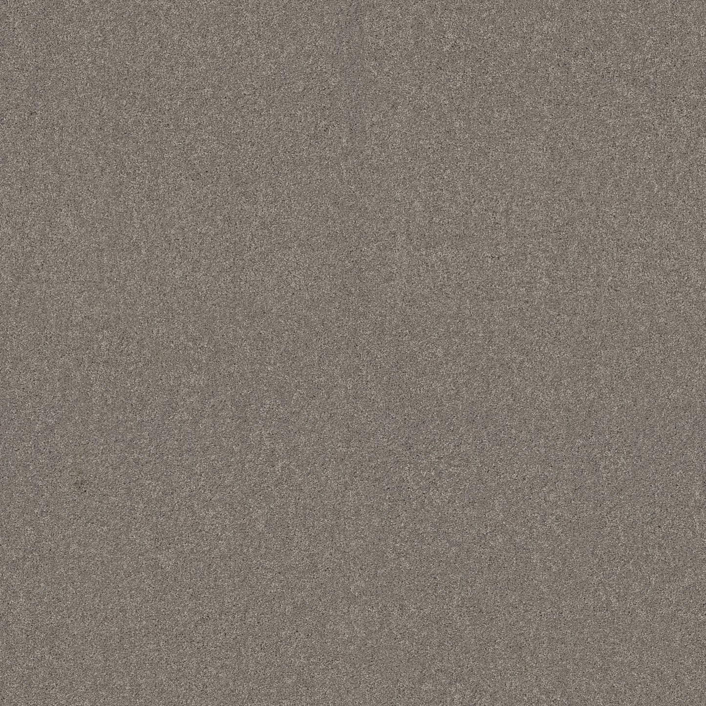 TEXTURE BCF
