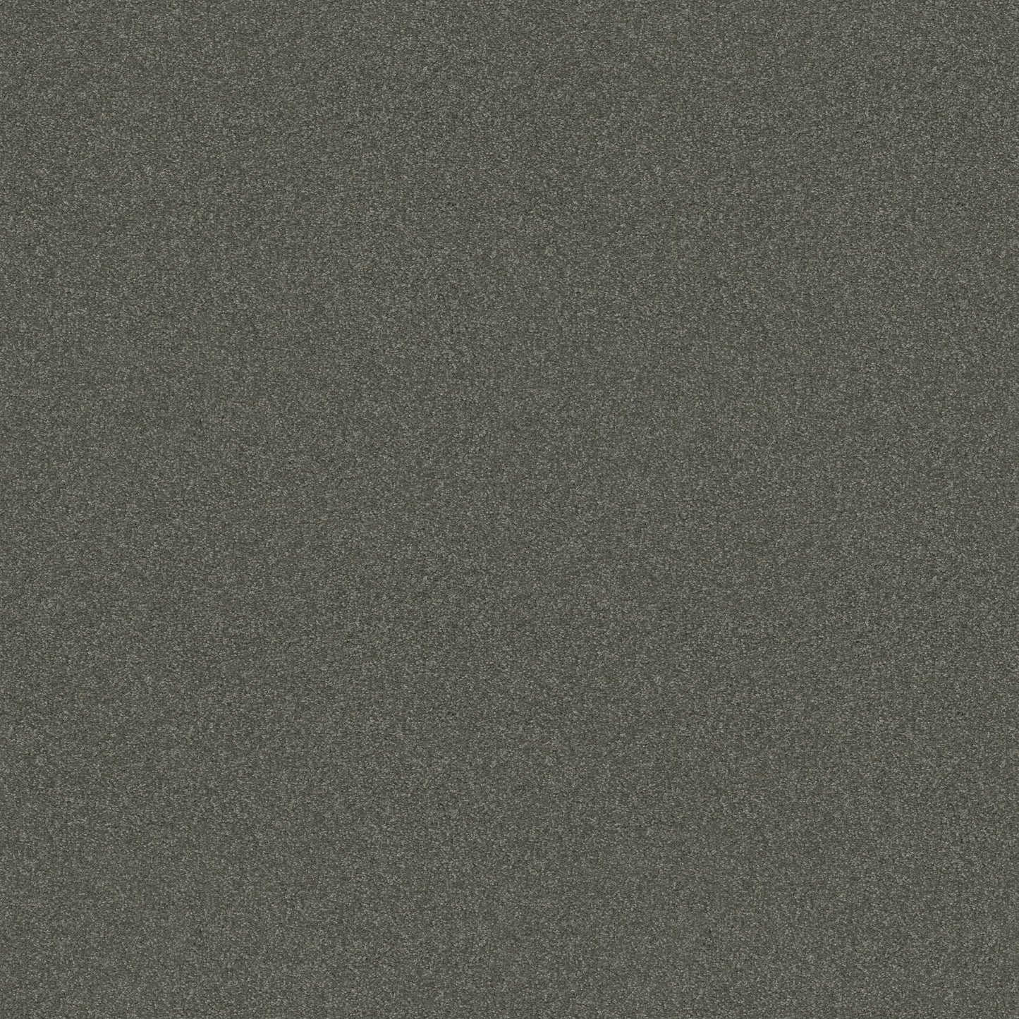 TEXTURE BCF