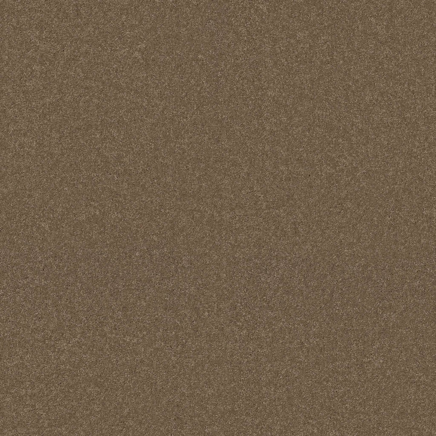 TEXTURE BCF