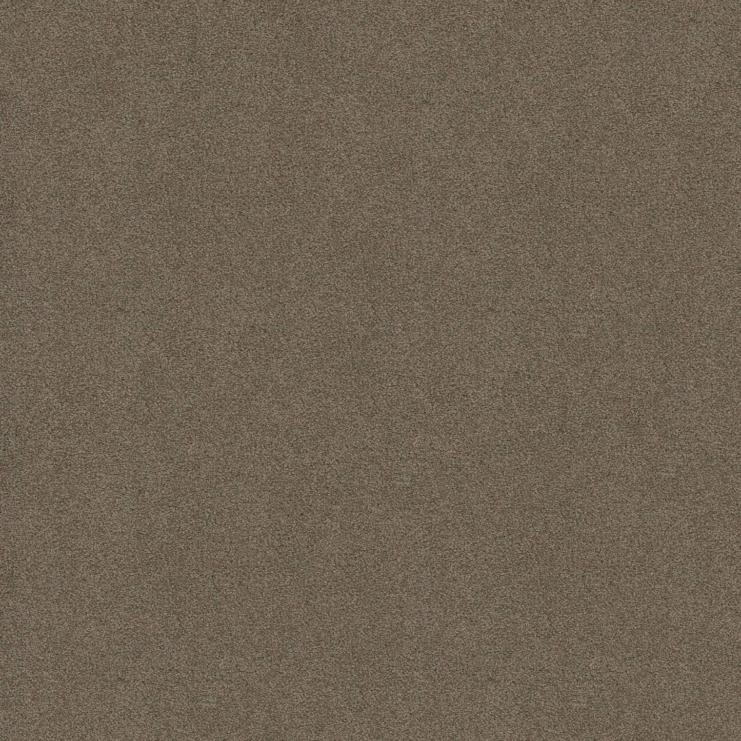 TEXTURE BCF
