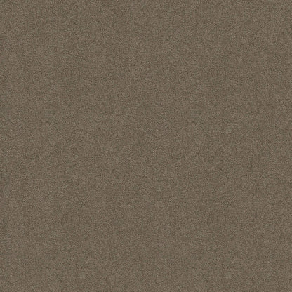 TEXTURE BCF
