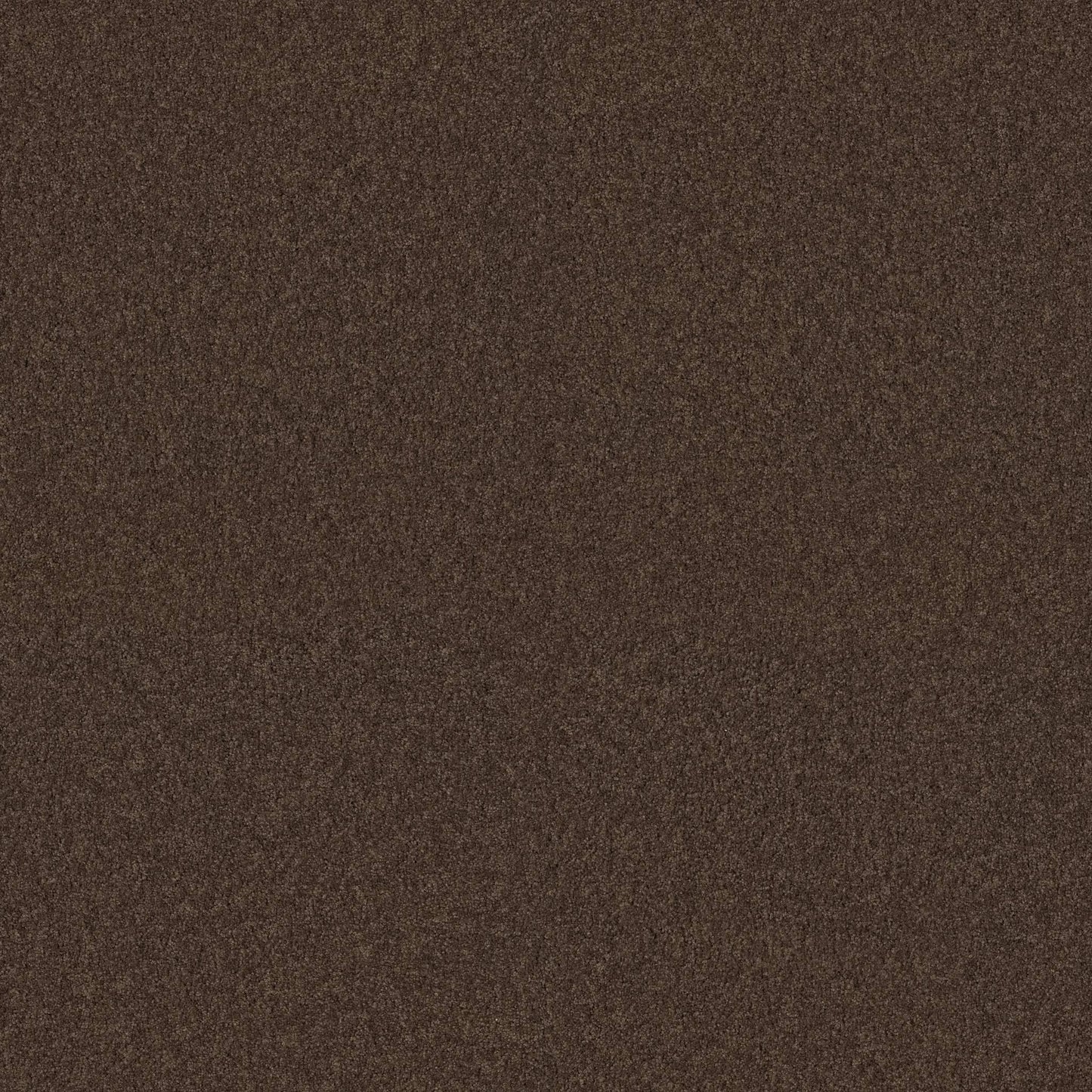 TEXTURE BCF