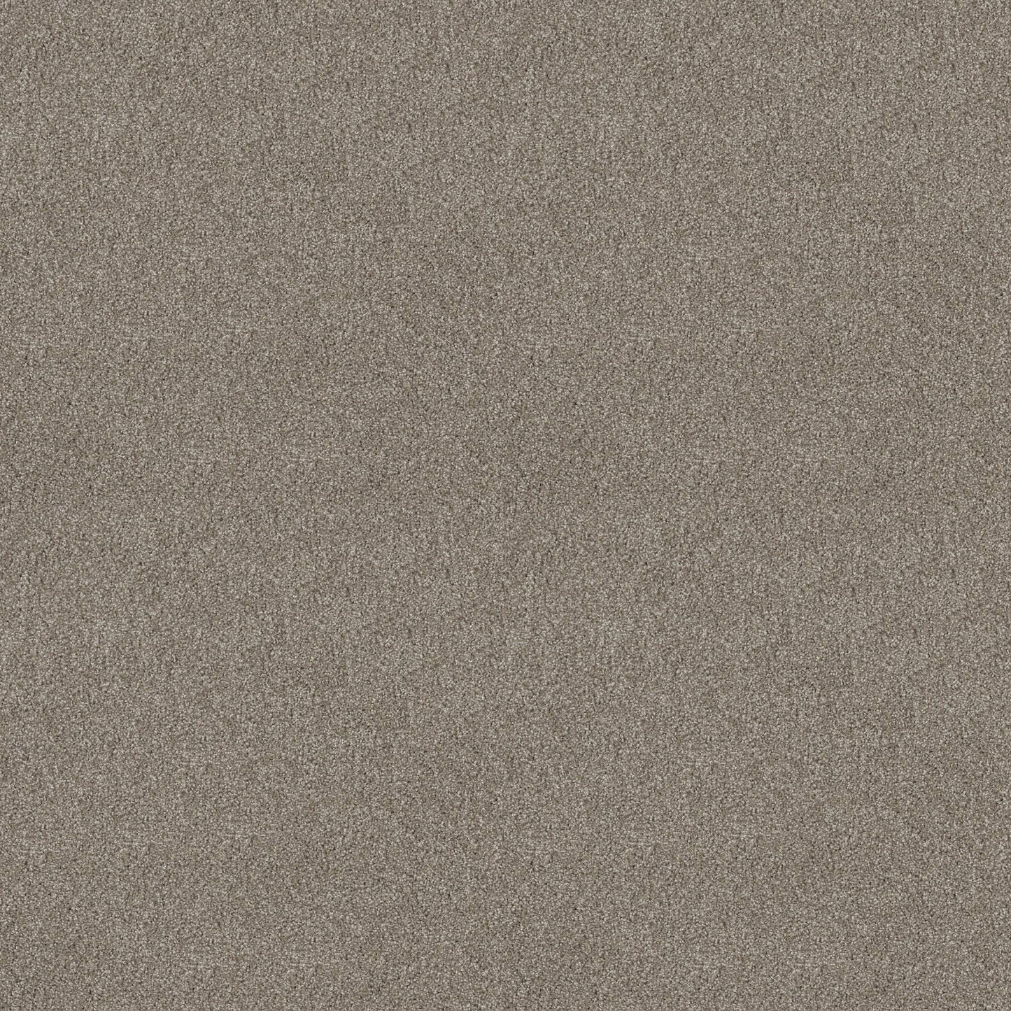 TEXTURE BCF