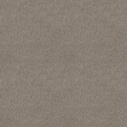 TEXTURE BCF