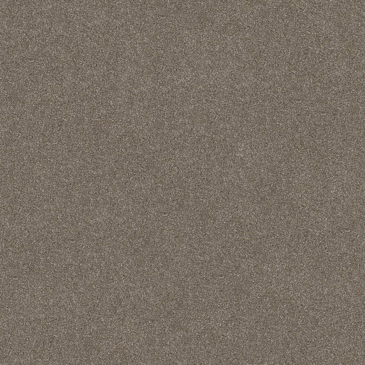 TEXTURE BCF