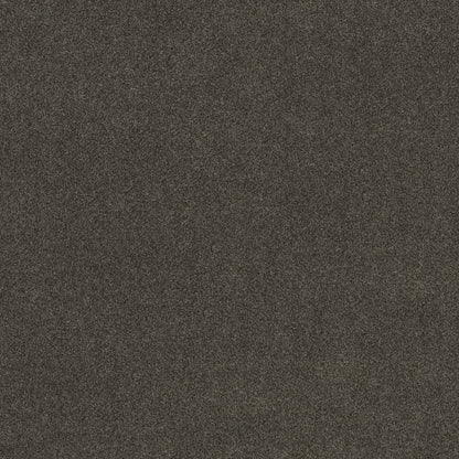TEXTURE BCF