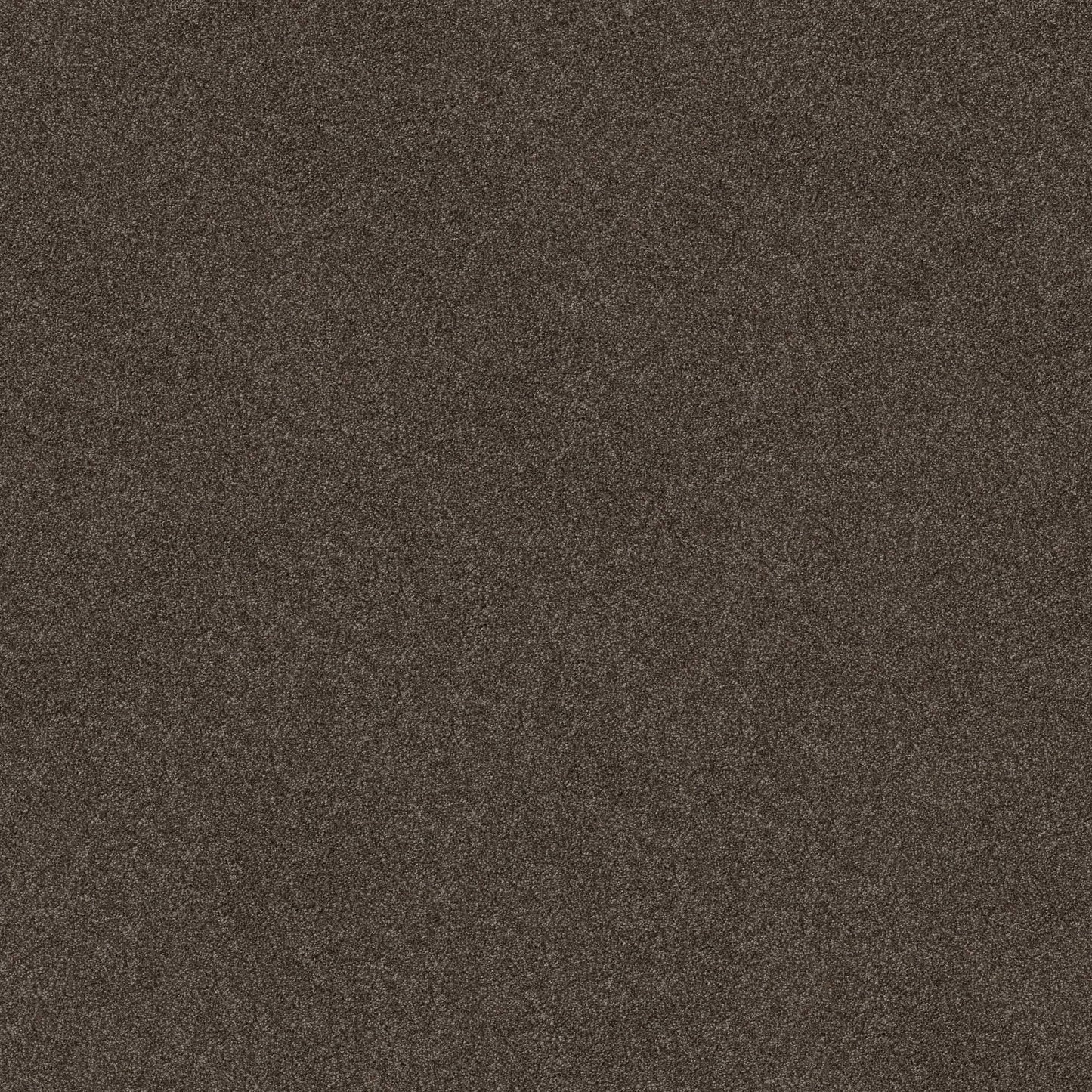 TEXTURE BCF
