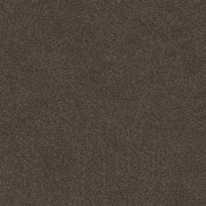 TEXTURE BCF