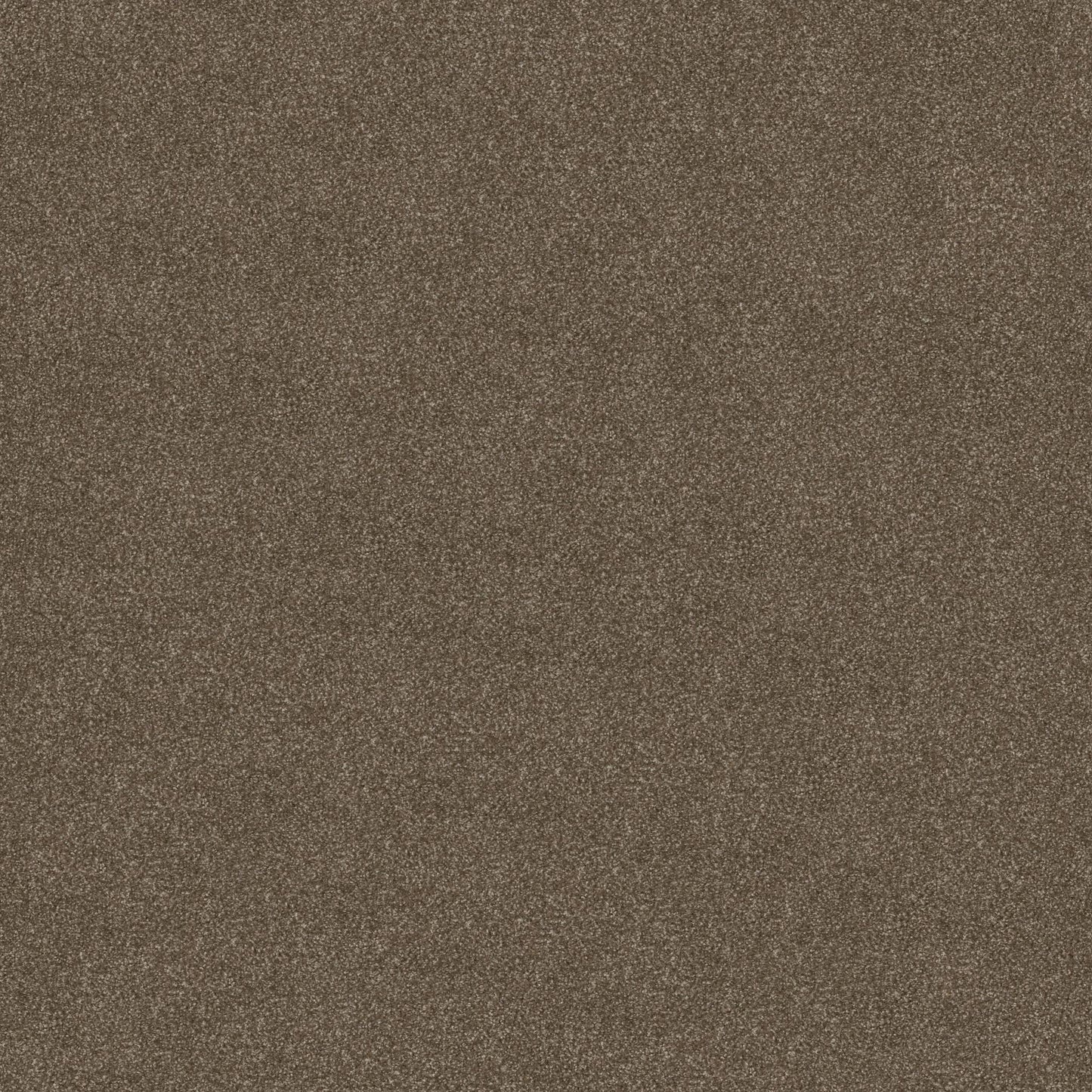 TEXTURE BCF