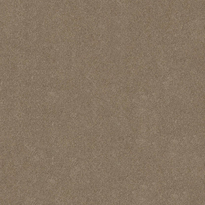 TEXTURE BCF