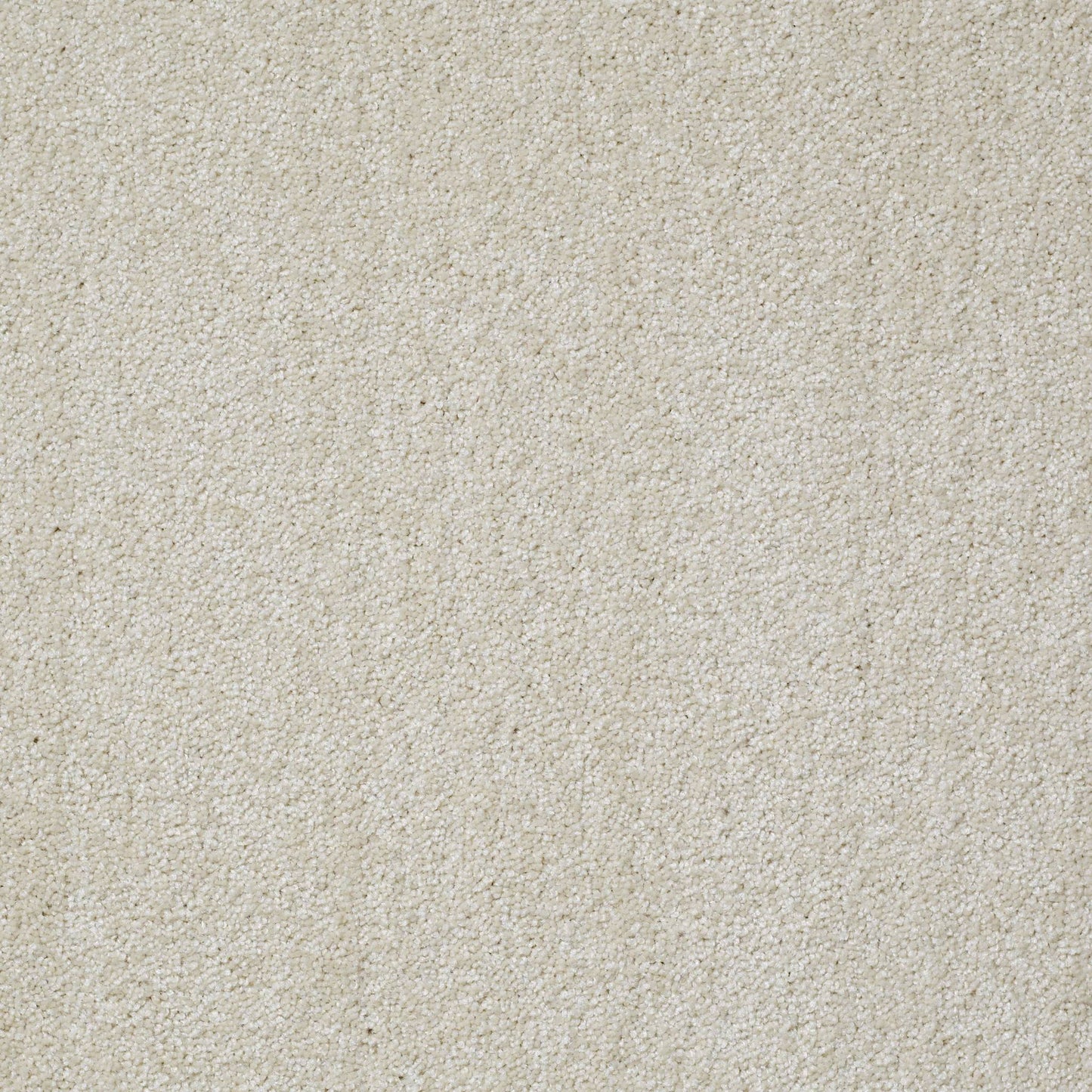TEXTURE BCF