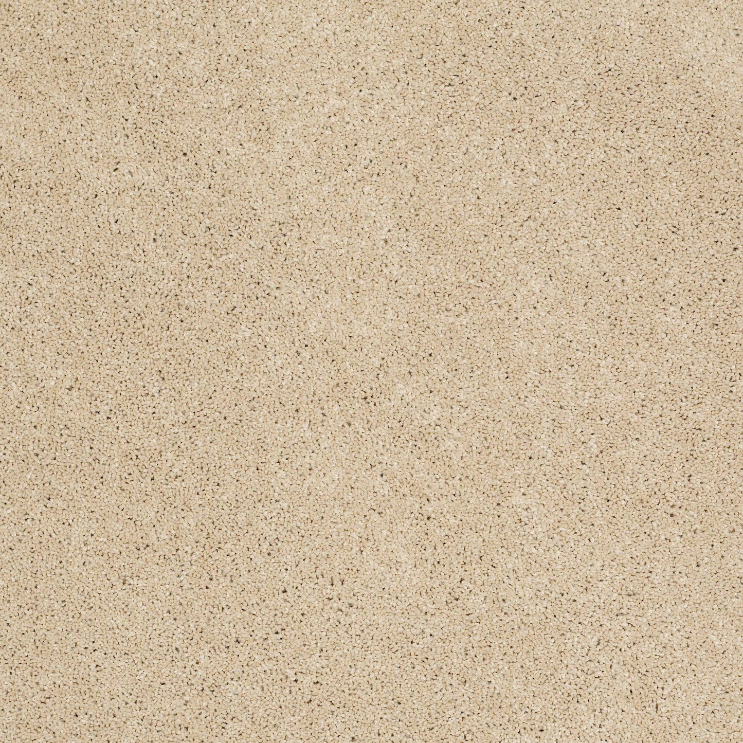 TEXTURE BCF
