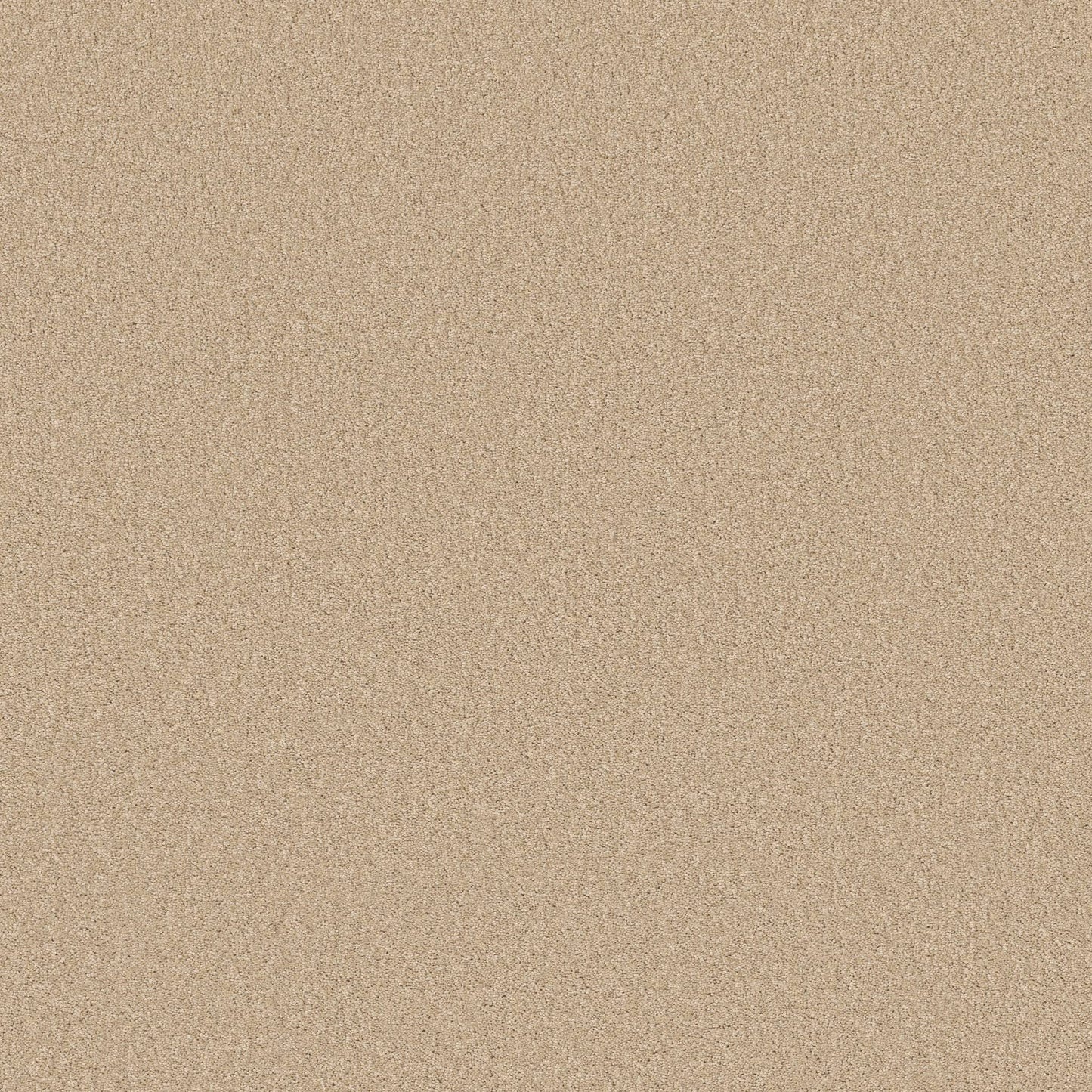 TEXTURE BCF