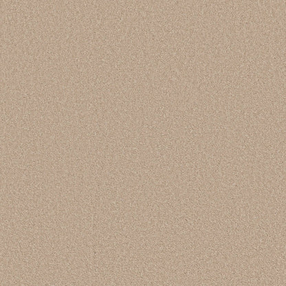 TEXTURE BCF