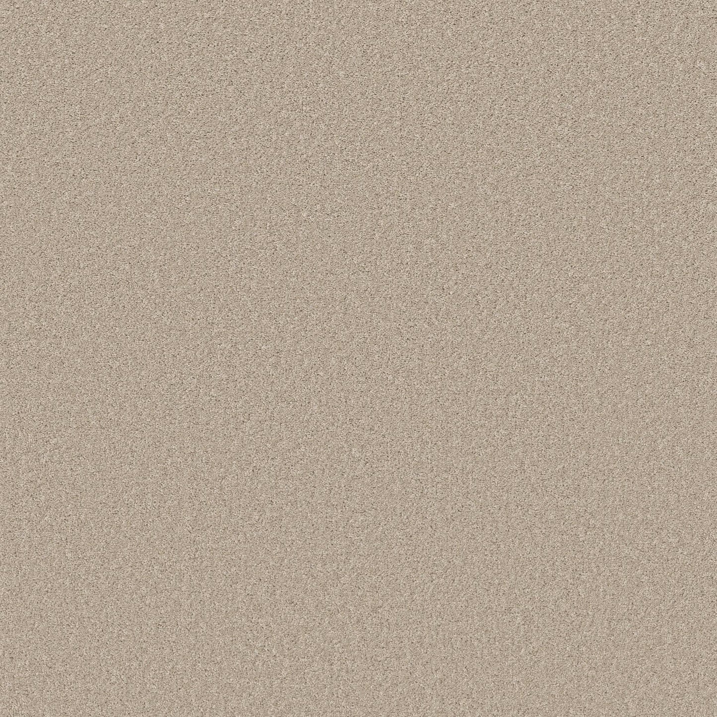 TEXTURE BCF
