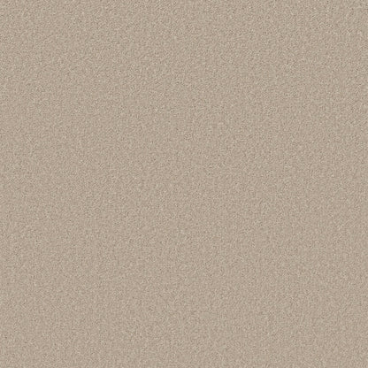 TEXTURE BCF