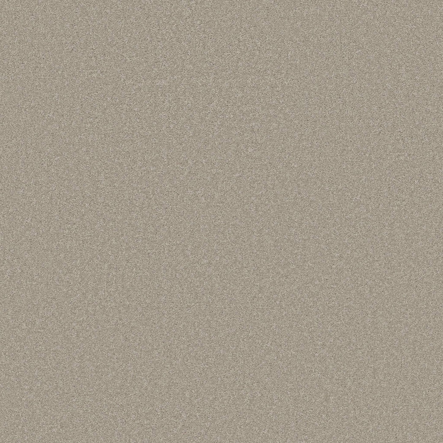 TEXTURE BCF