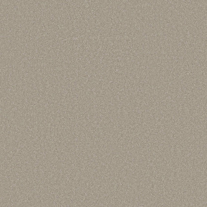 TEXTURE BCF