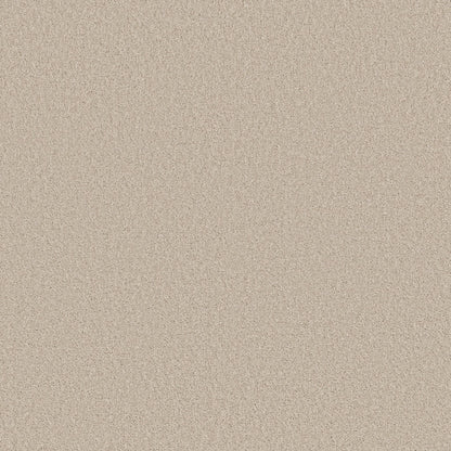 TEXTURE BCF