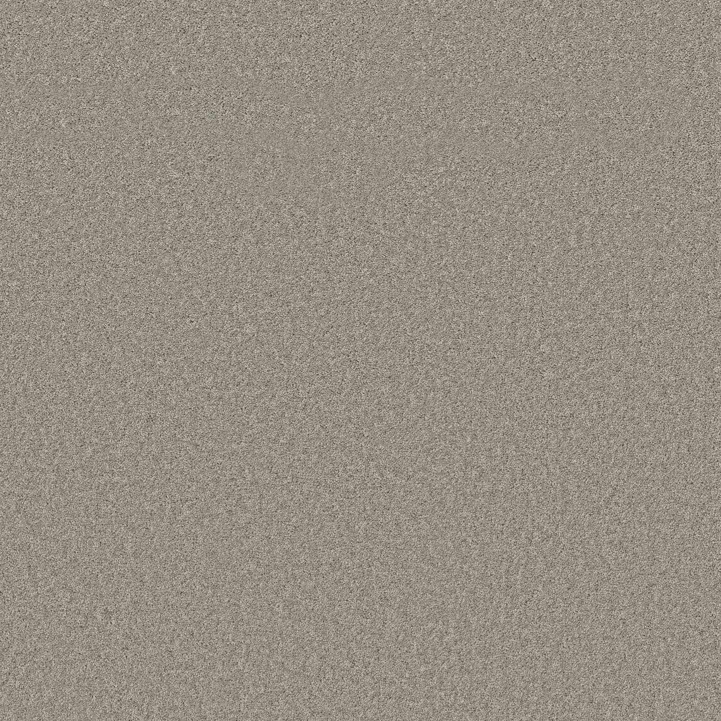 TEXTURE BCF
