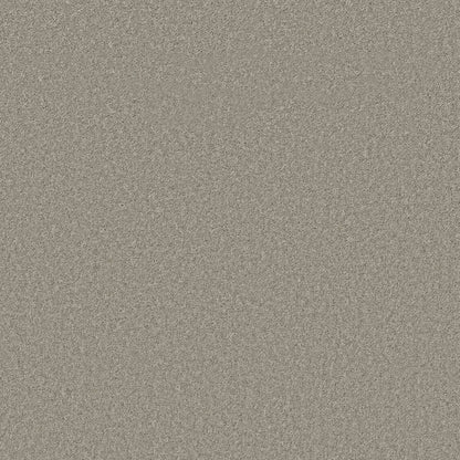 TEXTURE BCF