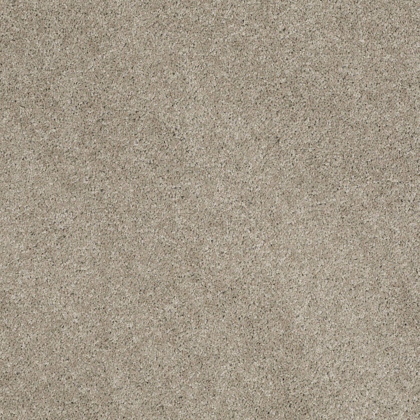 TEXTURE BCF