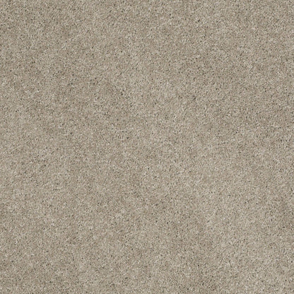 TEXTURE BCF