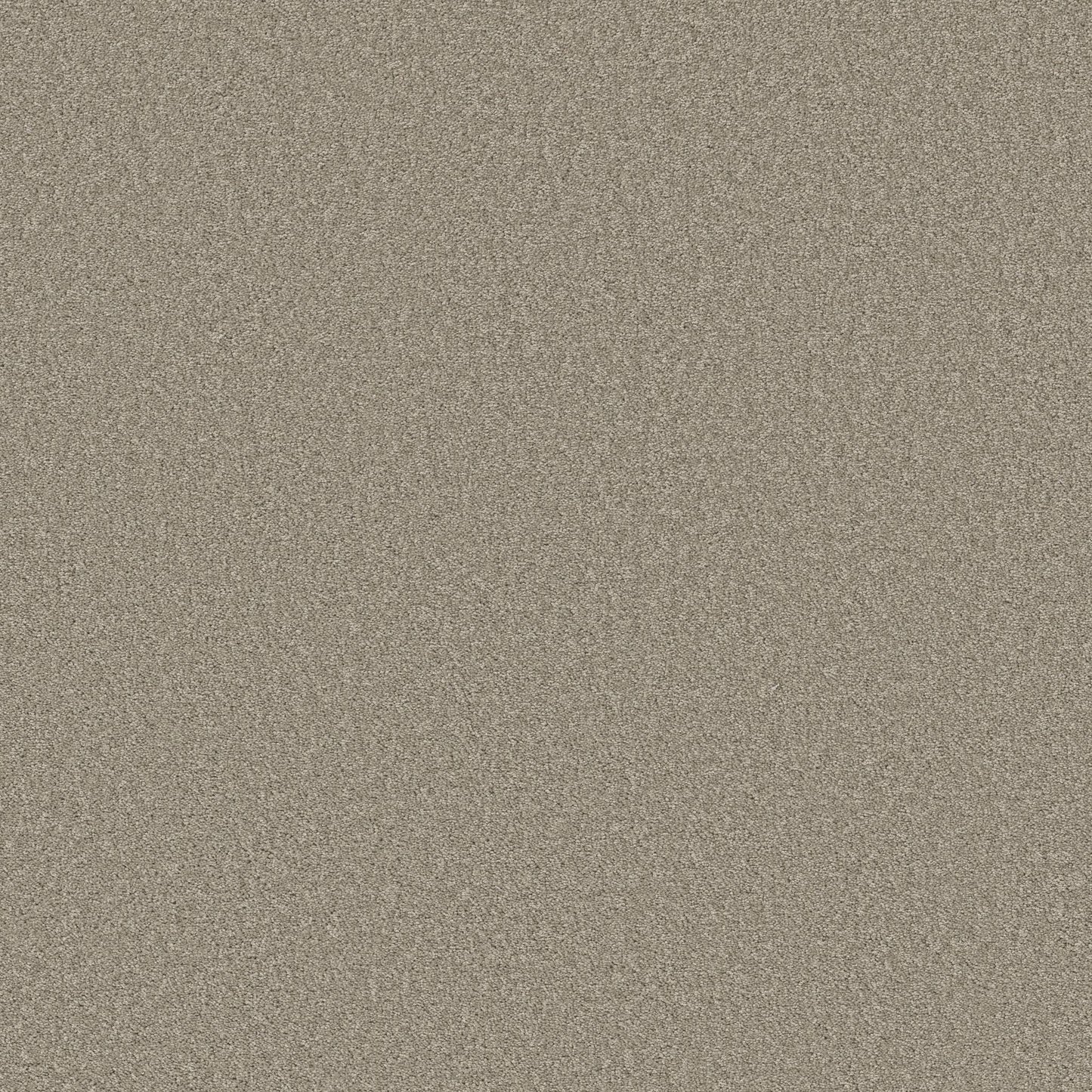 TEXTURE BCF