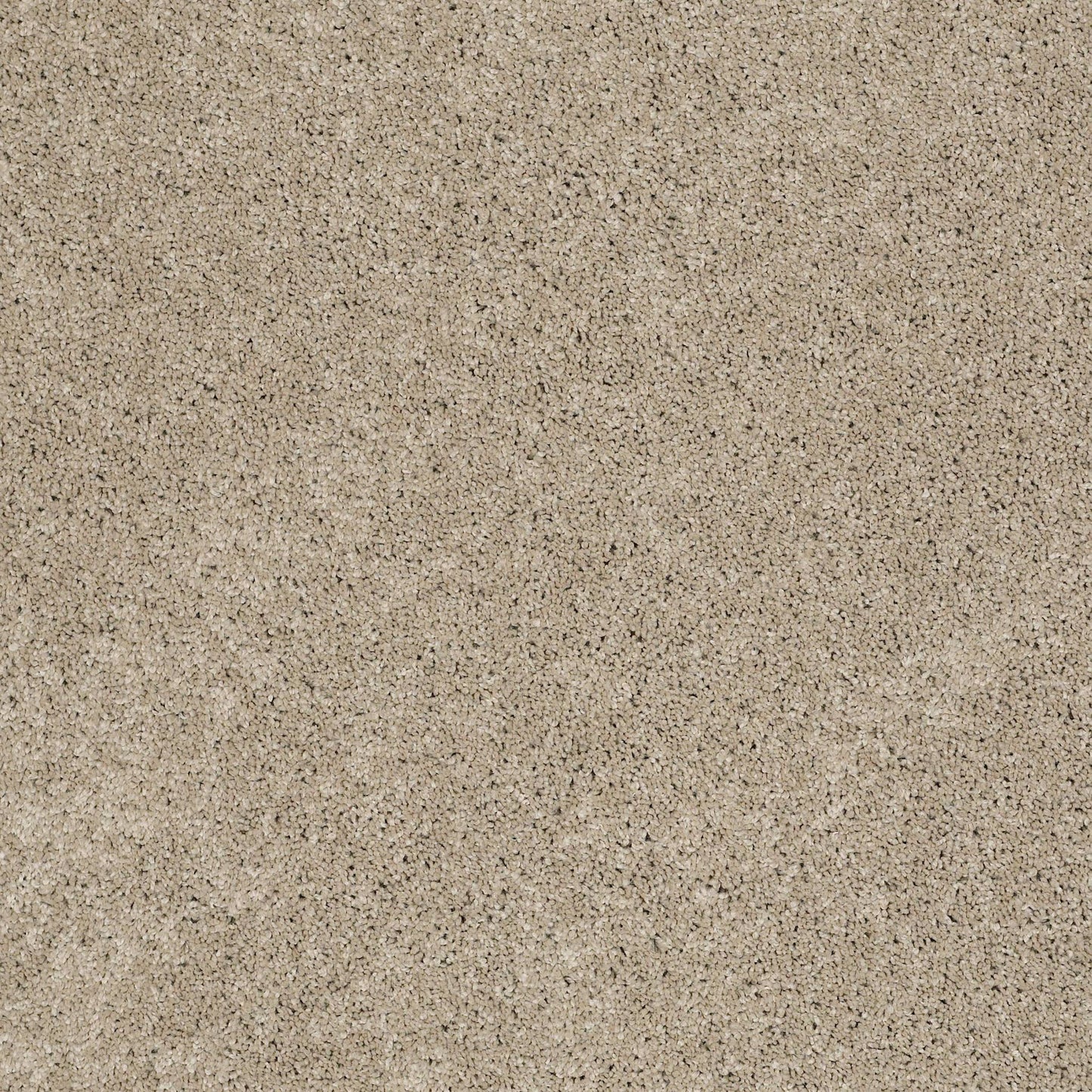 TEXTURE BCF