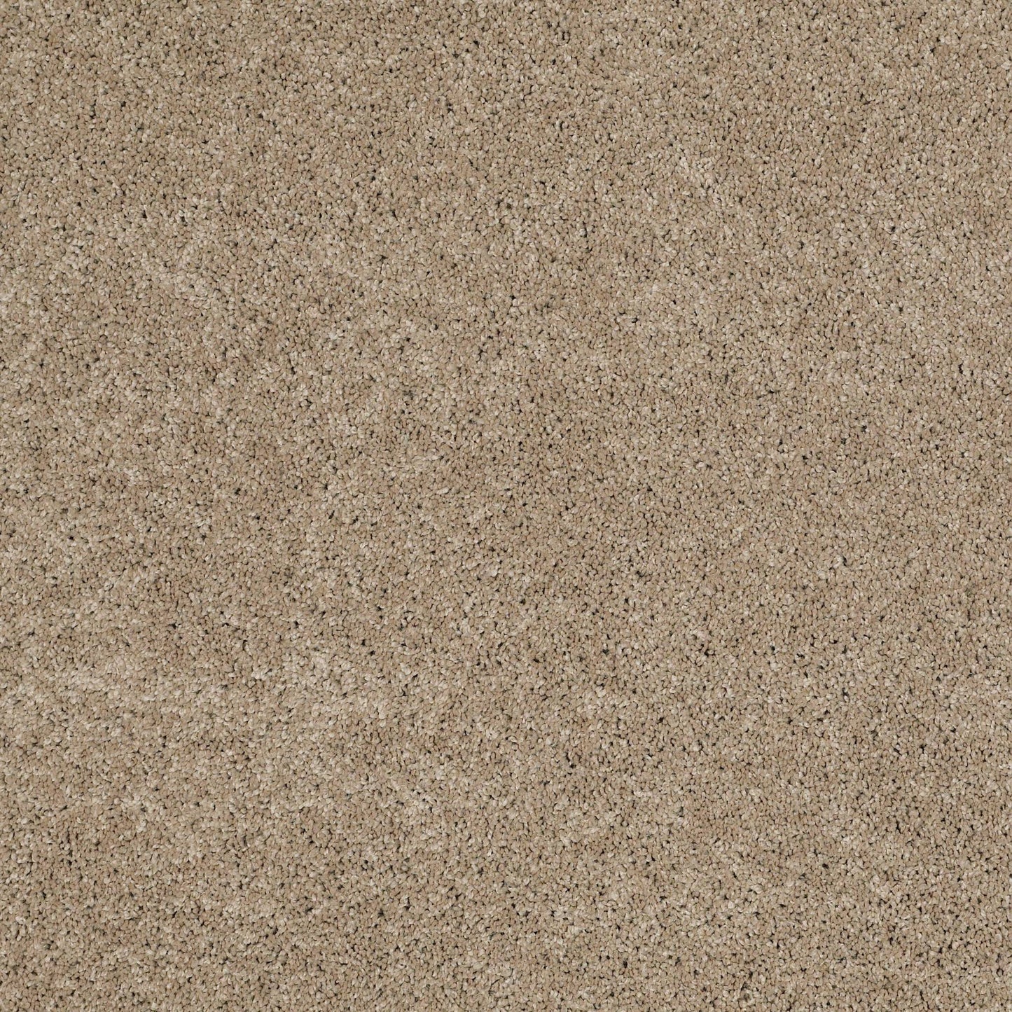 TEXTURE BCF