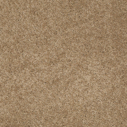 TEXTURE BCF