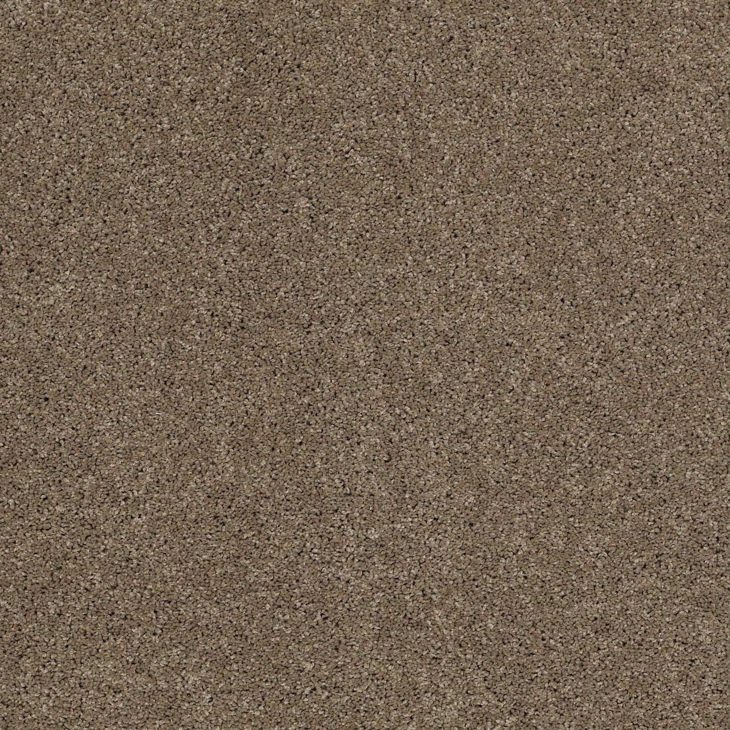 TEXTURE BCF