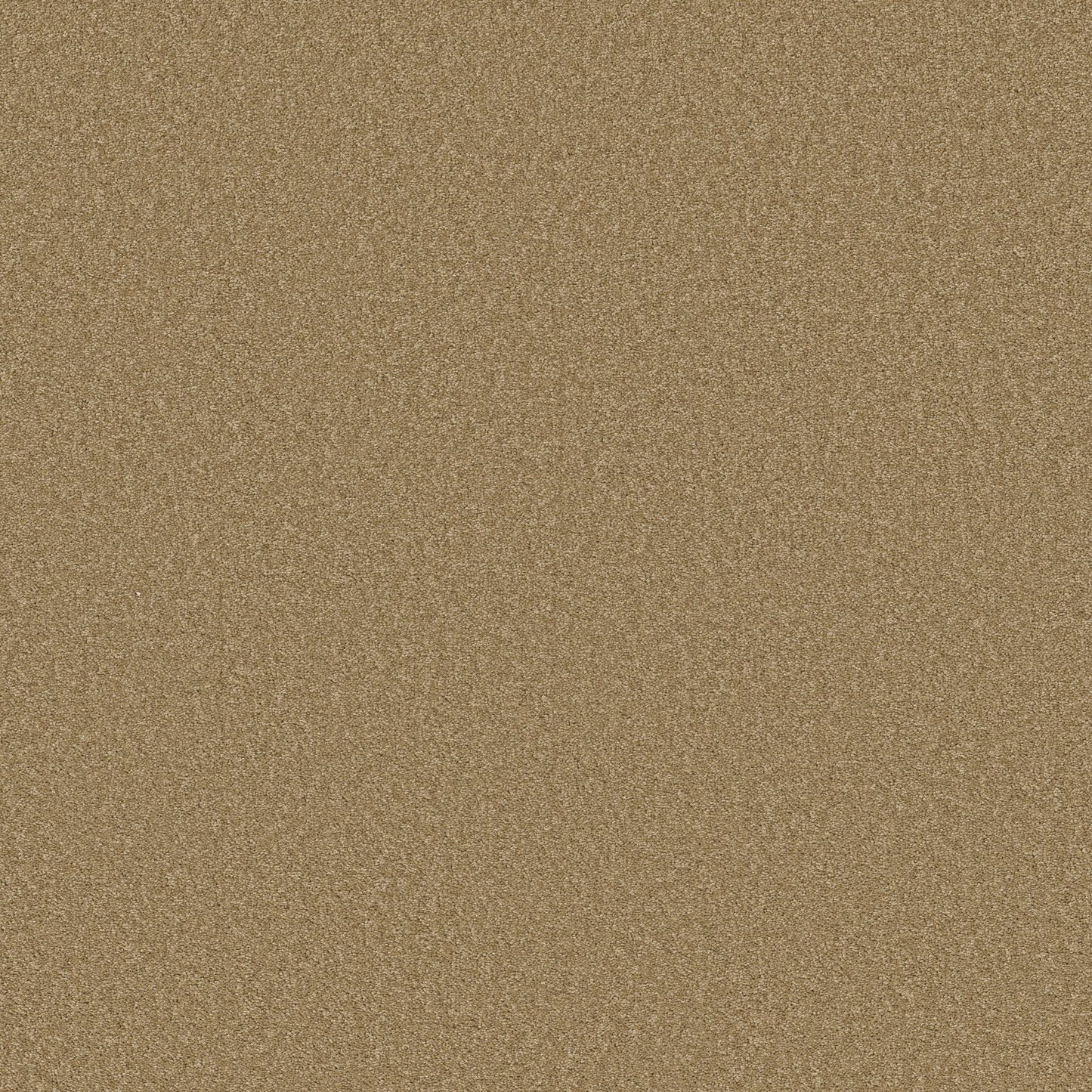 TEXTURE BCF