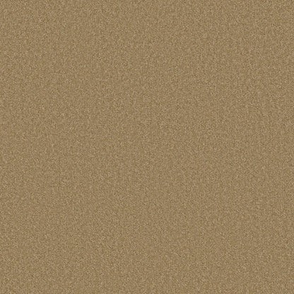 TEXTURE BCF