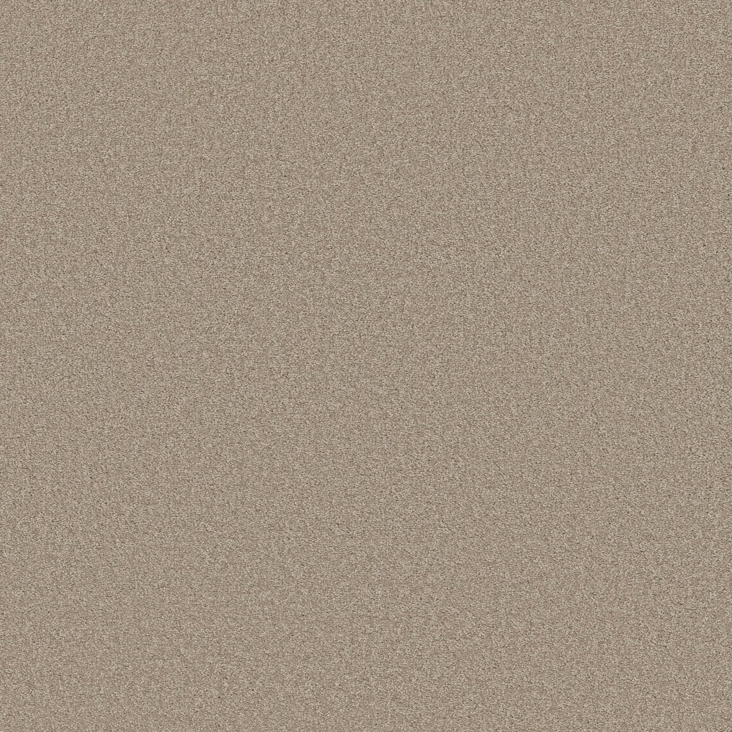 TEXTURE BCF