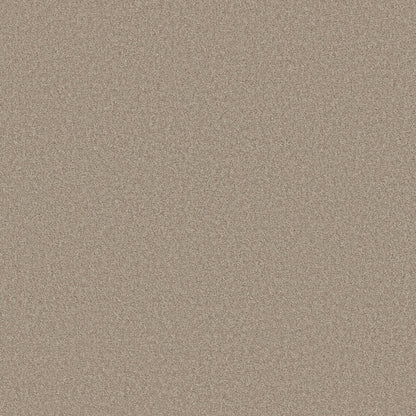 TEXTURE BCF