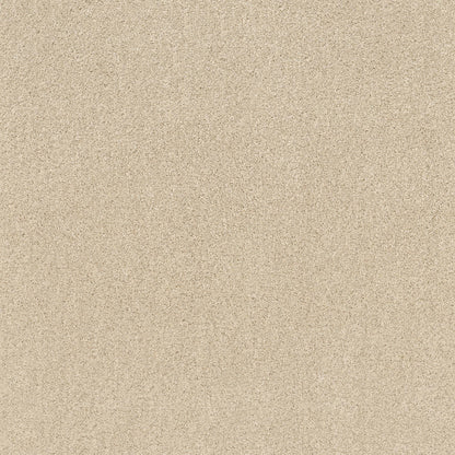 TEXTURE BCF