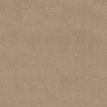 TEXTURE BCF